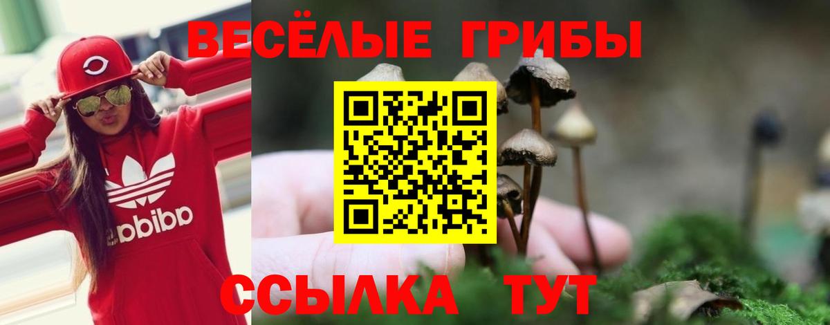 Псилоцибиновые грибы мухоморы Ржев